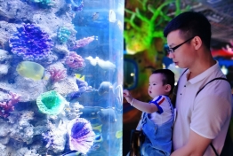 鱼鱼总动员
